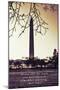 Washington Monument, Cross Processed Look in Washington, DC with Mark Twain Quote-null-Mounted Photo