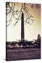 Washington Monument, Cross Processed Look in Washington, DC-null-Stretched Canvas