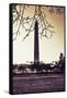 Washington Monument, Cross Processed Look in Washington, DC-null-Framed Stretched Canvas