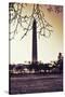 Washington Monument, Cross Processed Look in Washington, DC-null-Stretched Canvas