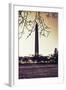 Washington Monument, Cross Processed Look in Washington, DC-null-Framed Photo