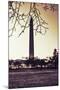 Washington Monument, Cross Processed Look in Washington, DC-null-Mounted Photo