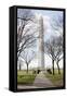 Washington Monument DC-null-Framed Stretched Canvas