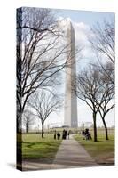 Washington Monument DC-null-Stretched Canvas