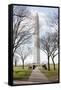 Washington Monument DC-null-Framed Stretched Canvas