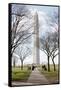 Washington Monument DC-null-Framed Stretched Canvas