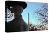 Washington Monument DC-null-Stretched Canvas