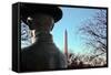 Washington Monument DC-null-Framed Stretched Canvas