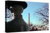 Washington Monument DC-null-Stretched Canvas