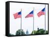 Washington Monument Flags and Capitol in DC United States USA-holbox-Framed Stretched Canvas