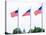 Washington Monument Flags and Capitol in DC United States USA-holbox-Stretched Canvas