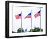 Washington Monument Flags and Capitol in DC United States USA-holbox-Framed Premium Photographic Print