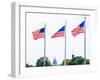 Washington Monument Flags and Capitol in DC United States USA-holbox-Framed Premium Photographic Print