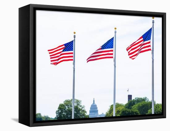 Washington Monument Flags and Capitol in DC United States USA-holbox-Framed Stretched Canvas