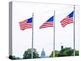 Washington Monument Flags and Capitol in DC United States USA-holbox-Stretched Canvas