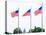 Washington Monument Flags and Capitol in DC United States USA-holbox-Stretched Canvas