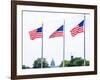 Washington Monument Flags and Capitol in DC United States USA-holbox-Framed Photographic Print