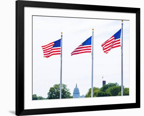 Washington Monument Flags and Capitol in DC United States USA-holbox-Framed Photographic Print