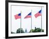 Washington Monument Flags and Capitol in DC United States USA-holbox-Framed Photographic Print