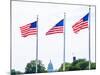 Washington Monument Flags and Capitol in DC United States USA-holbox-Mounted Photographic Print