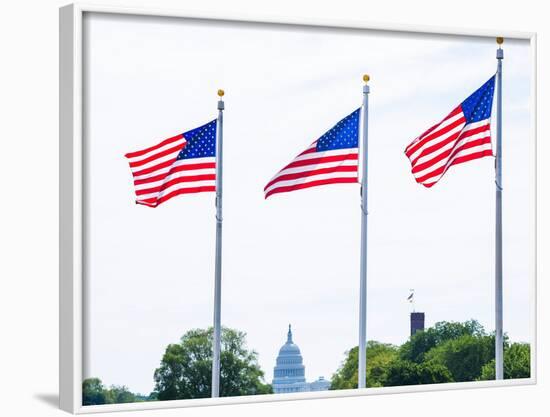 Washington Monument Flags and Capitol in DC United States USA-holbox-Framed Photographic Print