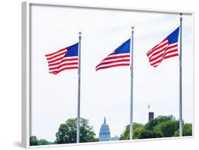 Washington Monument Flags and Capitol in DC United States USA-holbox-Framed Photographic Print