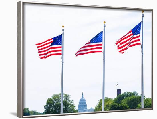 Washington Monument Flags and Capitol in DC United States USA-holbox-Framed Photographic Print