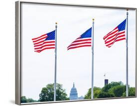 Washington Monument Flags and Capitol in DC United States USA-holbox-Framed Photographic Print