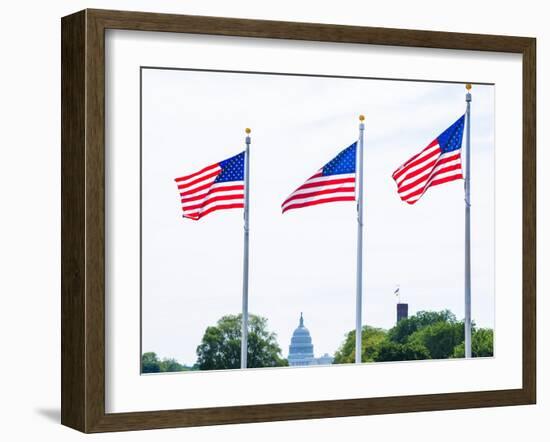 Washington Monument Flags and Capitol in DC United States USA-holbox-Framed Photographic Print