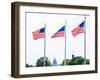 Washington Monument Flags and Capitol in DC United States USA-holbox-Framed Photographic Print