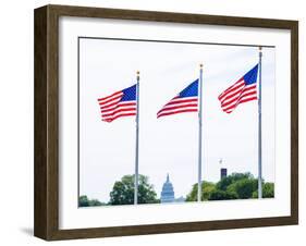 Washington Monument Flags and Capitol in DC United States USA-holbox-Framed Photographic Print