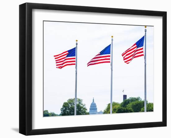 Washington Monument Flags and Capitol in DC United States USA-holbox-Framed Photographic Print