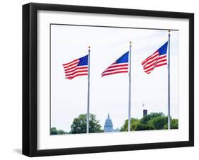 Washington Monument Flags and Capitol in DC United States USA-holbox-Framed Photographic Print