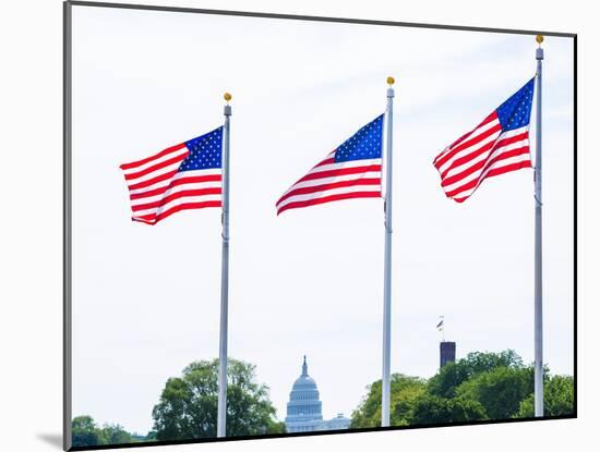 Washington Monument Flags and Capitol in DC United States USA-holbox-Mounted Photographic Print