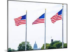 Washington Monument Flags and Capitol in DC United States USA-holbox-Mounted Photographic Print