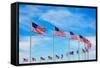 Washington Monument Flags Circle in DC United States USA-holbox-Framed Stretched Canvas