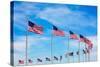 Washington Monument Flags Circle in DC United States USA-holbox-Stretched Canvas