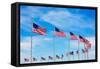 Washington Monument Flags Circle in DC United States USA-holbox-Framed Stretched Canvas