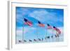 Washington Monument Flags Circle in DC United States USA-holbox-Framed Photographic Print