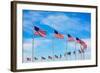 Washington Monument Flags Circle in DC United States USA-holbox-Framed Photographic Print