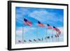 Washington Monument Flags Circle in DC United States USA-holbox-Framed Photographic Print