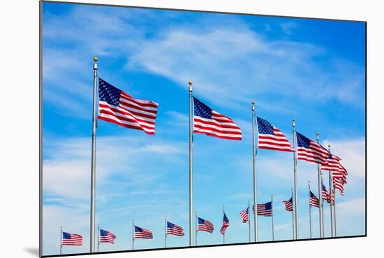 Washington Monument Flags Circle in DC United States USA-holbox-Mounted Photographic Print