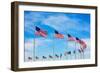 Washington Monument Flags Circle in DC United States USA-holbox-Framed Photographic Print