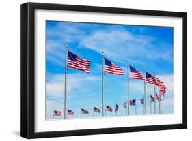 Washington Monument Flags Circle in DC United States USA-holbox-Framed Photographic Print