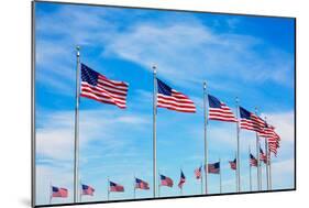 Washington Monument Flags Circle in DC United States USA-holbox-Mounted Photographic Print