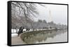 Washington Monument in Winter as Seen from Tidal Basin - Washington Dc, United States of America-Orhan-Framed Stretched Canvas