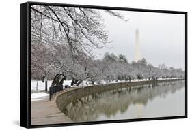 Washington Monument in Winter as Seen from Tidal Basin - Washington Dc, United States of America-Orhan-Framed Stretched Canvas
