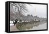 Washington Monument in Winter as Seen from Tidal Basin - Washington Dc, United States of America-Orhan-Framed Stretched Canvas