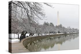 Washington Monument in Winter as Seen from Tidal Basin - Washington Dc, United States of America-Orhan-Stretched Canvas