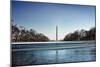 Washington Monument Reflecting Pool Washington DC-null-Mounted Photo